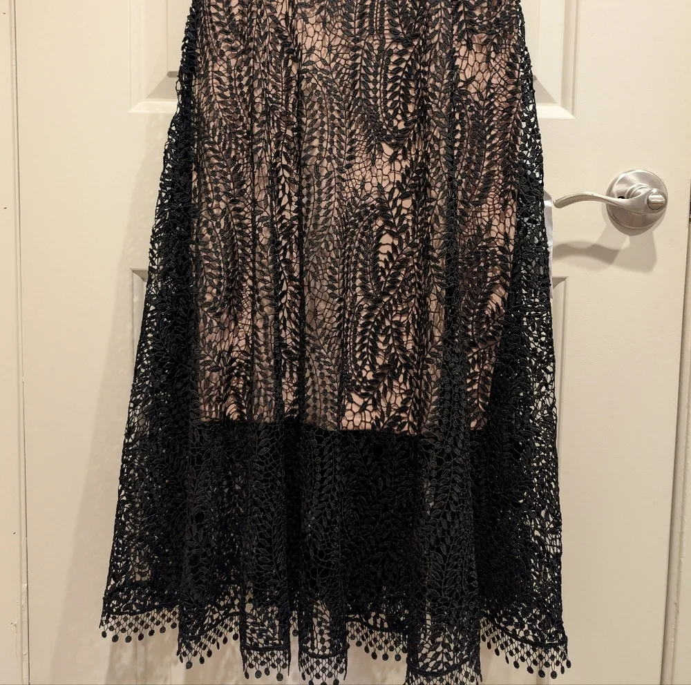 Dress the Population Shane Black Vine Lace Midi Dress Size Small - Picture 4 of 10